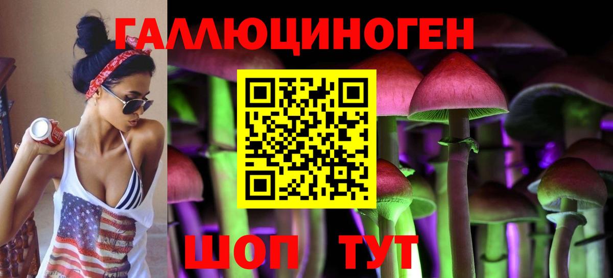 Псилоцибиновые грибы Psilocybine cubensis  Вход с VPN  Галлюциногенные грибы мицелий  Набережные Челны 